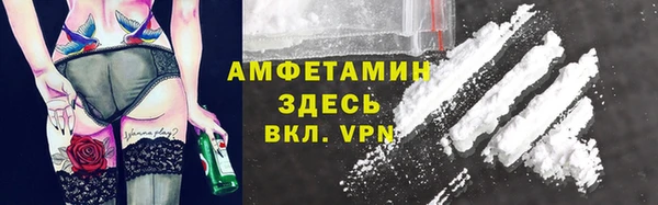 сатива Горняк