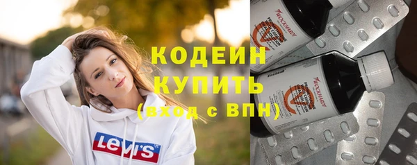сатива Горняк