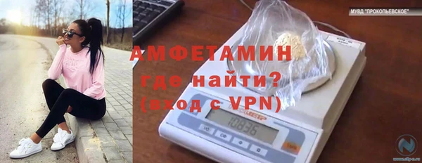 2c-b Горно-Алтайск