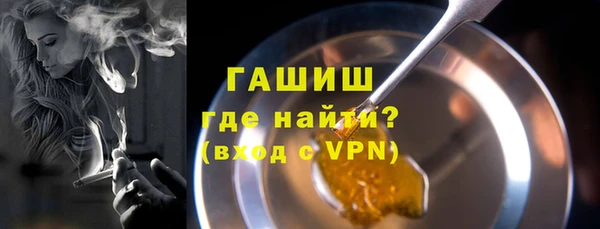 сатива Горняк