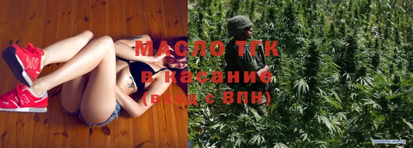 сатива Горняк