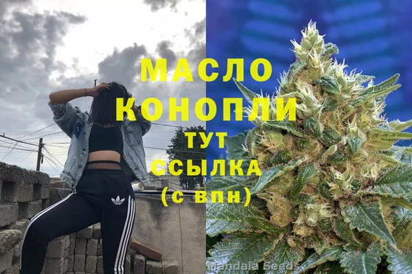2c-b Горно-Алтайск