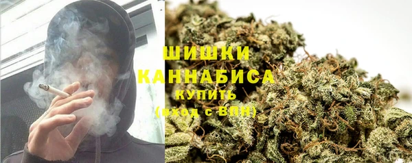 2c-b Горно-Алтайск
