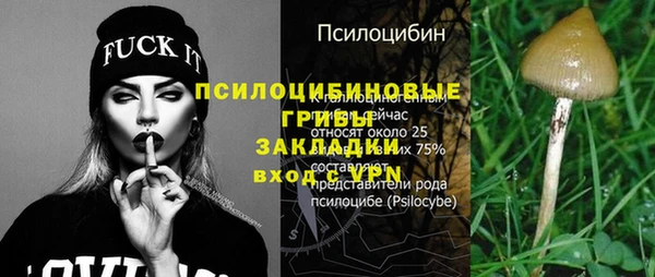 сатива Горняк