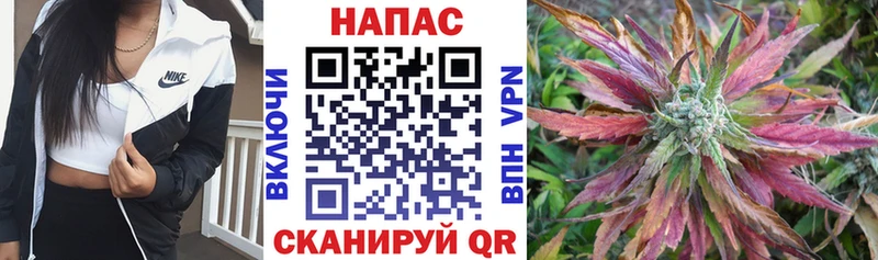 Купить закладки  Пестово  Шишки марихуана Ganja 